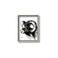 Picture of Sketched Ram _GroupedProduct_Rectangle_Portrait_Canvas_Framed_