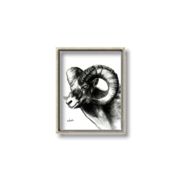 Picture of Sketched Ram _GroupedProduct_Rectangle_Portrait_Canvas_Framed_