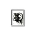 Picture of Sketched Ram _GroupedProduct_Rectangle_Portrait_Canvas_Framed_