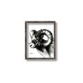 Picture of Sketched Ram _GroupedProduct_Rectangle_Portrait_Canvas_Framed_