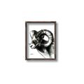 Picture of Sketched Ram _GroupedProduct_Rectangle_Portrait_Canvas_Framed_