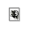 Picture of Sketched Ram _GroupedProduct_Rectangle_Portrait_Canvas_Framed_