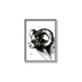 Picture of Sketched Ram _GroupedProduct_Rectangle_Portrait_Canvas_Framed_