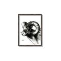Picture of Sketched Ram _GroupedProduct_Rectangle_Portrait_Canvas_Framed_