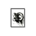 Picture of Sketched Ram _GroupedProduct_Rectangle_Portrait_Canvas_Framed_
