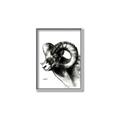 Picture of Sketched Ram _GroupedProduct_Rectangle_Portrait_Canvas_Framed_
