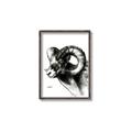 Picture of Sketched Ram _GroupedProduct_Rectangle_Portrait_Canvas_Framed_