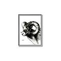 Picture of Sketched Ram _GroupedProduct_Rectangle_Portrait_Canvas_Framed_