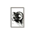 Picture of Sketched Ram _GroupedProduct_Rectangle_Portrait_Canvas_Framed_