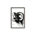 Picture of Sketched Ram _GroupedProduct_Rectangle_Portrait_Canvas_Framed_