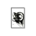 Picture of Sketched Ram _GroupedProduct_Rectangle_Portrait_Canvas_Framed_