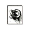 Picture of Sketched Ram _GroupedProduct_Rectangle_Portrait_Canvas_Framed_