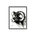 Picture of Sketched Ram _GroupedProduct_Rectangle_Portrait_Canvas_Framed_