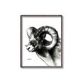 Picture of Sketched Ram _GroupedProduct_Rectangle_Portrait_Canvas_Framed_