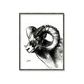 Picture of Sketched Ram _GroupedProduct_Rectangle_Portrait_Canvas_Framed_