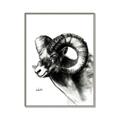 Picture of Sketched Ram _GroupedProduct_Rectangle_Portrait_Canvas_Framed_