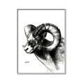 Picture of Sketched Ram _GroupedProduct_Rectangle_Portrait_Canvas_Framed_