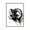 Picture of Sketched Ram _GroupedProduct_Rectangle_Portrait_Canvas_Framed_