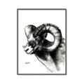 Picture of Sketched Ram _GroupedProduct_Rectangle_Portrait_Canvas_Framed_