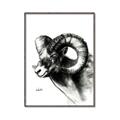 Picture of Sketched Ram _GroupedProduct_Rectangle_Portrait_Canvas_Framed_