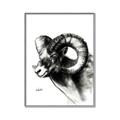 Picture of Sketched Ram _GroupedProduct_Rectangle_Portrait_Canvas_Framed_