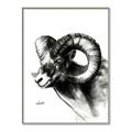Picture of Sketched Ram _GroupedProduct_Rectangle_Portrait_Canvas_Framed_