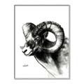 Picture of Sketched Ram _GroupedProduct_Rectangle_Portrait_Canvas_Framed_