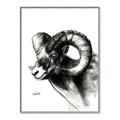 Picture of Sketched Ram _GroupedProduct_Rectangle_Portrait_Canvas_Framed_