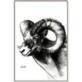 Picture of Sketched Ram _GroupedProduct_Rectangle_Portrait_Canvas_Framed_