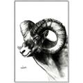 Picture of Sketched Ram _GroupedProduct_Rectangle_Portrait_Canvas_Framed_