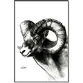 Picture of Sketched Ram _GroupedProduct_Rectangle_Portrait_Canvas_Framed_