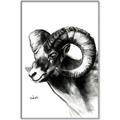 Picture of Sketched Ram _GroupedProduct_Rectangle_Portrait_Canvas_Framed_