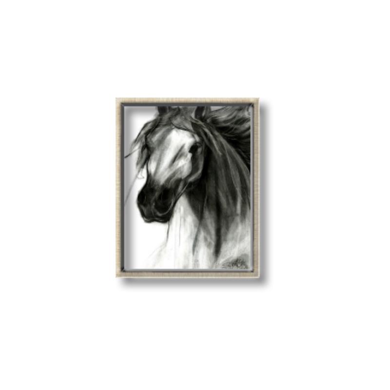 Picture of Sketched Horse _GroupedProduct_Rectangle_Portrait_Canvas_Framed_