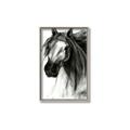 Picture of Sketched Horse _GroupedProduct_Rectangle_Portrait_Canvas_Framed_