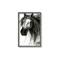 Picture of Sketched Horse _GroupedProduct_Rectangle_Portrait_Canvas_Framed_