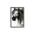 Picture of Sketched Horse _GroupedProduct_Rectangle_Portrait_Canvas_Framed_