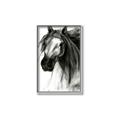 Picture of Sketched Horse _GroupedProduct_Rectangle_Portrait_Canvas_Framed_