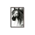 Picture of Sketched Horse _GroupedProduct_Rectangle_Portrait_Canvas_Framed_