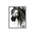 Picture of Sketched Horse _GroupedProduct_Rectangle_Portrait_Canvas_Framed_