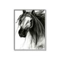 Picture of Sketched Horse _GroupedProduct_Rectangle_Portrait_Canvas_Framed_