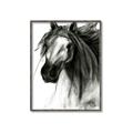 Picture of Sketched Horse _GroupedProduct_Rectangle_Portrait_Canvas_Framed_