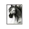 Picture of Sketched Horse _GroupedProduct_Rectangle_Portrait_Canvas_Framed_