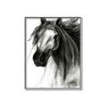Picture of Sketched Horse _GroupedProduct_Rectangle_Portrait_Canvas_Framed_