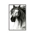 Picture of Sketched Horse _GroupedProduct_Rectangle_Portrait_Canvas_Framed_