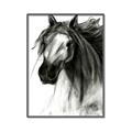 Picture of Sketched Horse _GroupedProduct_Rectangle_Portrait_Canvas_Framed_