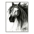 Picture of Sketched Horse _GroupedProduct_Rectangle_Portrait_Canvas_Framed_
