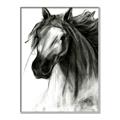 Picture of Sketched Horse _GroupedProduct_Rectangle_Portrait_Canvas_Framed_