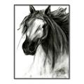Picture of Sketched Horse _GroupedProduct_Rectangle_Portrait_Canvas_Framed_