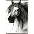Picture of Sketched Horse _GroupedProduct_Rectangle_Portrait_Canvas_Framed_