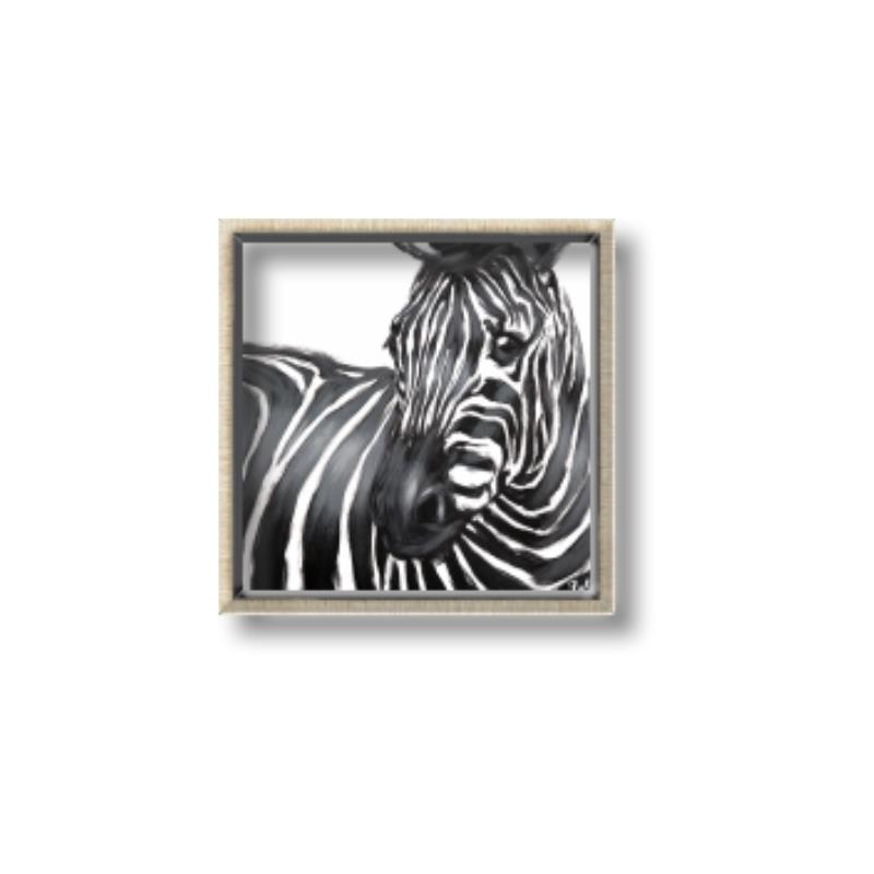 Picture of Zebra Watching _GroupedProduct_Square_Canvas_Framed_